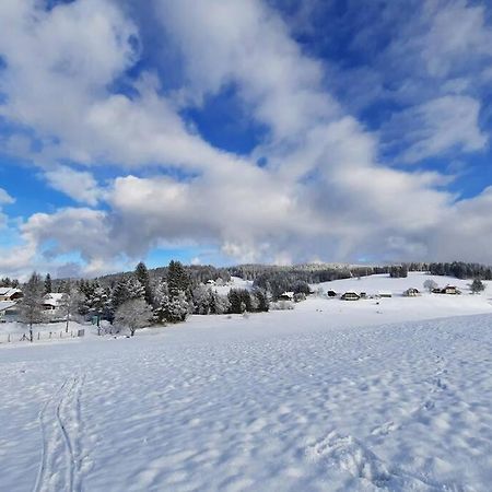 Gemuetliche Ferienwohnung Fuer 4 Gaeste In Schoenwald Schönwald Bagian luar foto