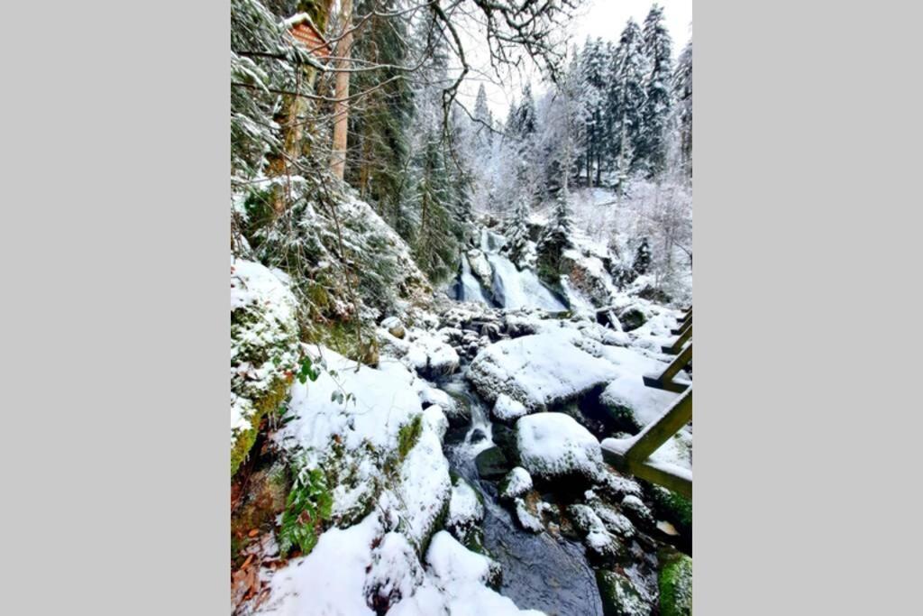 Gemuetliche Ferienwohnung Fuer 4 Gaeste In Schoenwald Schönwald Bagian luar foto